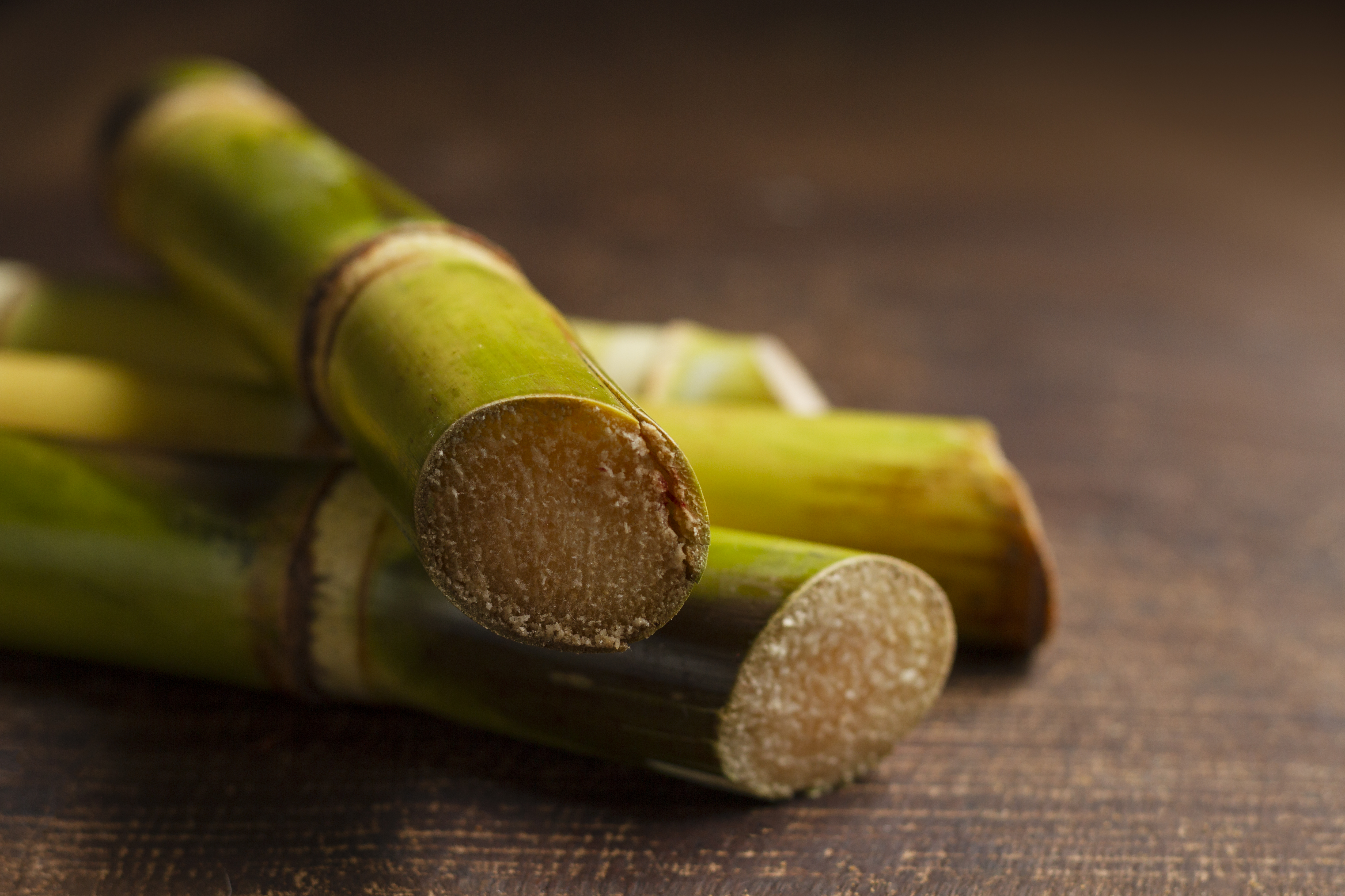 Tall healthy sugarcane field